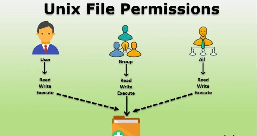 e30: Managing File Permissions in OS